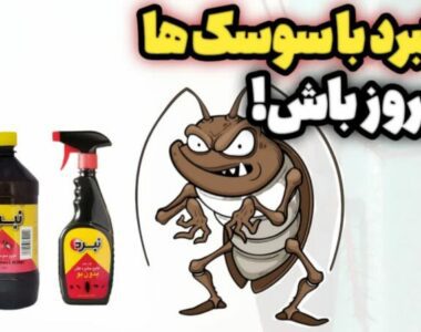 بهترین و قوی‌ترین سم برای سوسک را از کجا تهیه کنیم؟