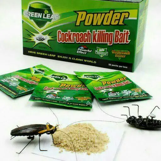 بهترین و قویترین سم برای سوسک را از کجا تهیه کنیم؟ بهترین و قویترین سم برای سوسک را از کجا تهیه کنیم؟