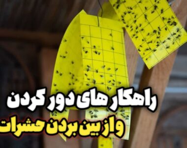 10447377-0603-47f6-a23f-f32d7bc700c2 10447377-0603-47f6-a23f-f32d7bc700c2