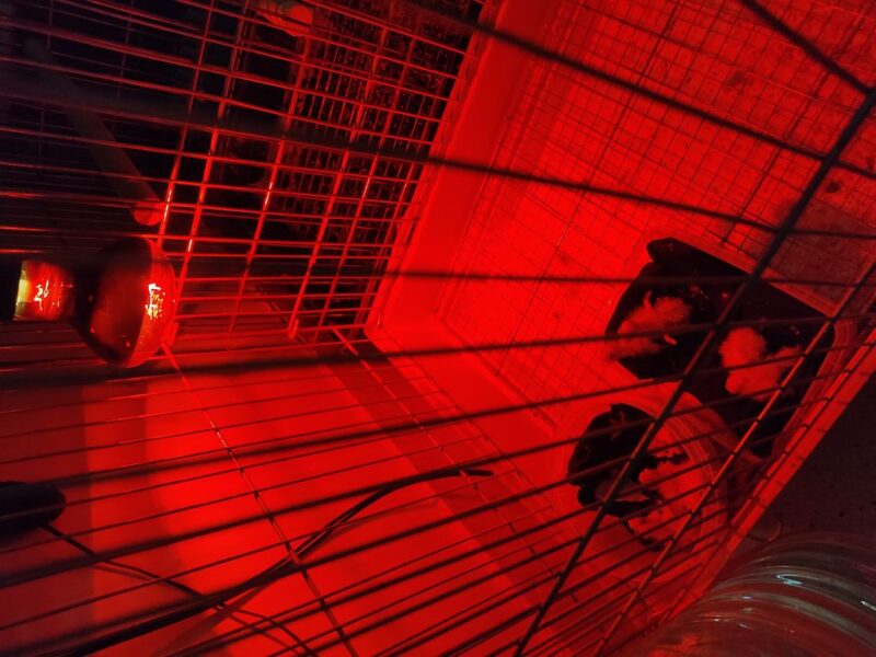 458c8fd8f2b8f0fc5baf0f6a446348aaa4846546_1691042680 458c8fd8f2b8f0fc5baf0f6a446348aaa4846546_1691042680